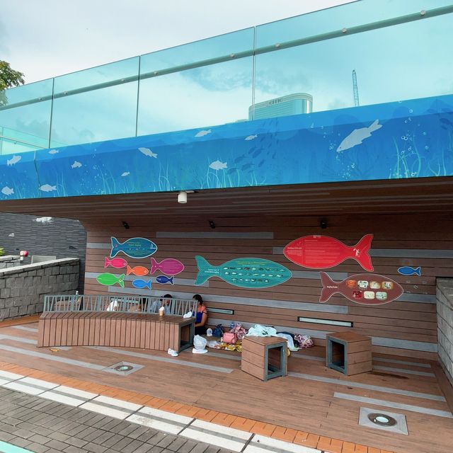 假日野餐好去處 @ 添馬公園