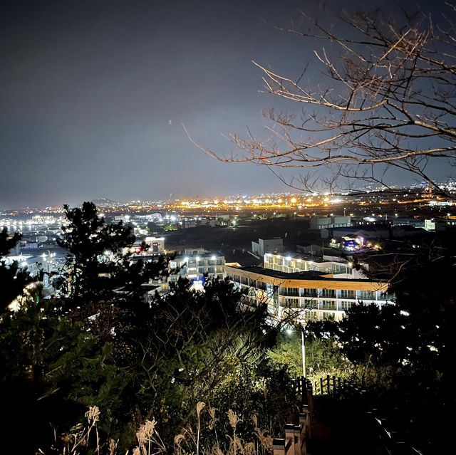 제주 바다와 시내를 한눈에 담을 수 있는 ⛰️ 도두봉 공원