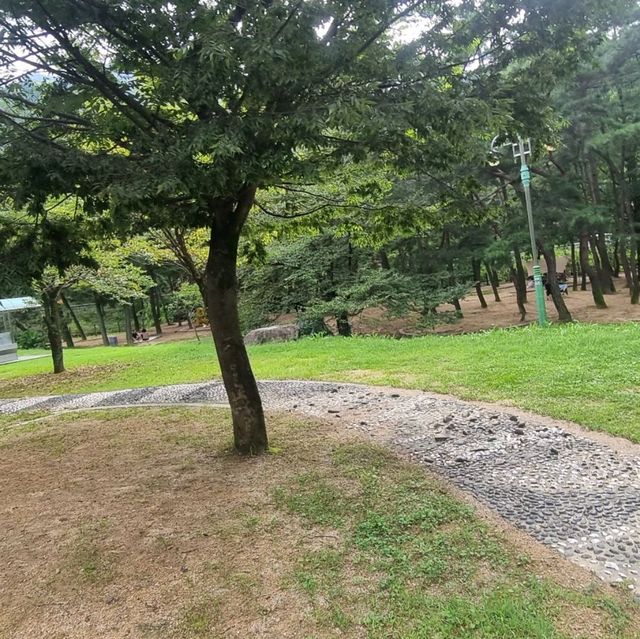 무료로 이용 금오산도립공원야영장