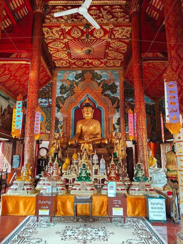 Wat tung yu🙏🏼