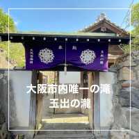 【大阪府】大阪市内唯一の天然の滝「玉出の瀧」