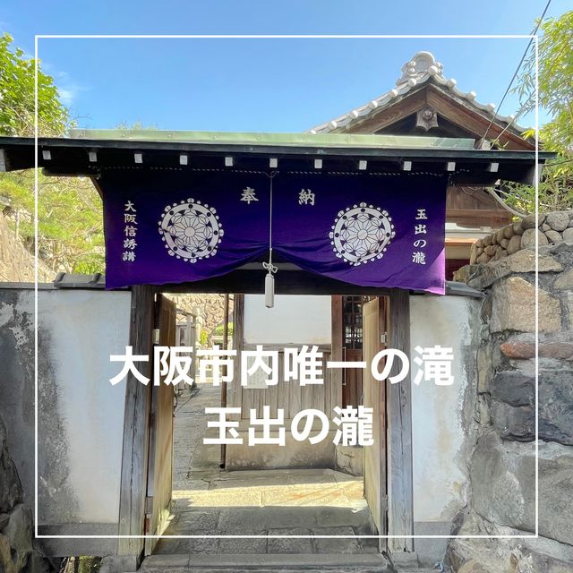 【大阪府】大阪市内唯一の天然の滝「玉出の瀧」