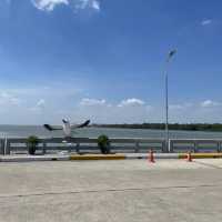 กินปูดูนก : สถานตากอากาศบางปู