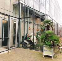 荷蘭萊頓🇳🇱🎍🪴萊頓植物園📚🗂️萊頓大學