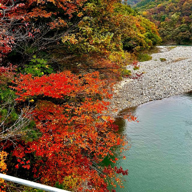 Autumn foliage sightings 