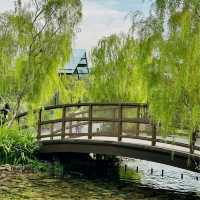 Bamboo Hills