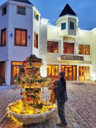 Mary Cliff with its beautiful bling bling tree fountain🎄