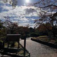 Day trip to Arashiyama- Japan