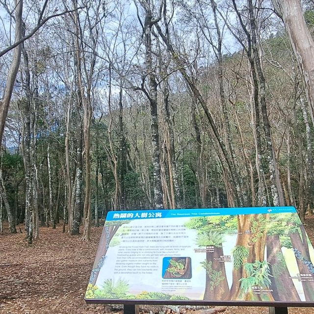 呼吸芬多精好地方