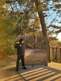 부산을 일찍 시작하는 방법! 아침이 아름다운곳🌅