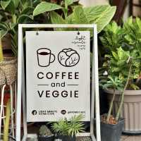 Light minute home cafe