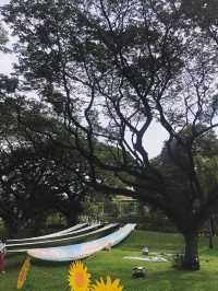 ป่าใจกลางกรุงเทพมหานคร🌳🍃