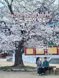 청도 운문사의 봄은 아름답다🌸