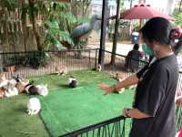 สวนนกภูเก็ต "Phuket Bird Park"
