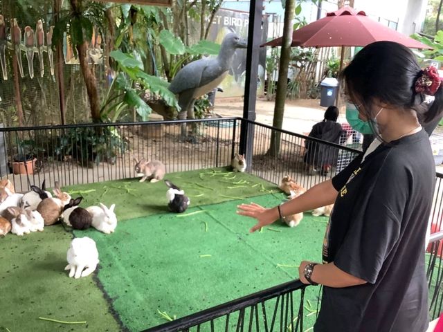 สวนนกภูเก็ต "Phuket Bird Park"