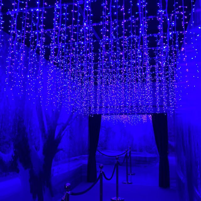 สัมผัสประสบการณ์สุดคูลในดินแดน Frozen ❄️