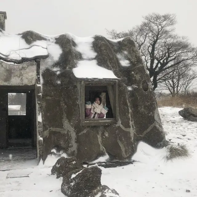 겨울 제주여행, 성이시돌목장🐏