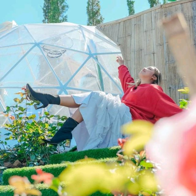 ลากแฟนไปตื่นมาดูหมอกนอน​Glamping​ สุดลักซ์ชูวที่เชียงใหม่