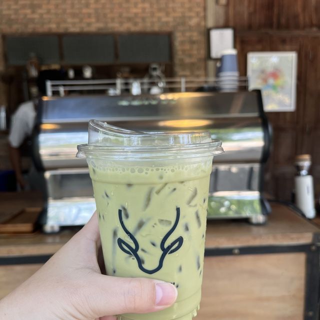 ร้านกาแฟลึกลับในเชียงดาว Tribe coffee