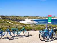 【オーストラリア・ロットネスト島】島の巡り方🚲