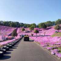 北海道 | 東藻琴芝櫻公園 五月再一起賞花吧