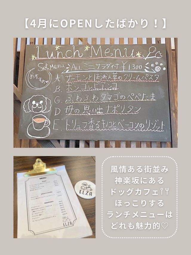 altTitle