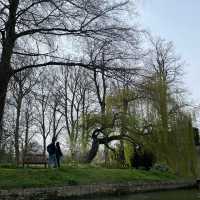 Punting in Cambridge UK