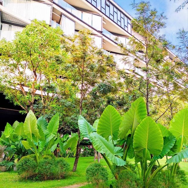 • Livist Resort Phetchabun 🛖🌳✨