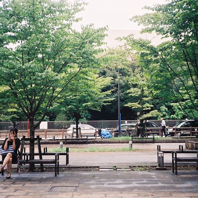 Ueno park , Tokyo