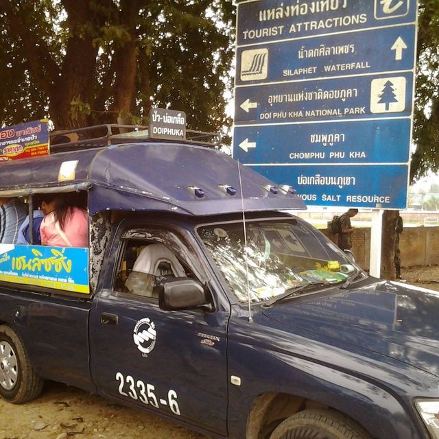 ต้นชมพูภูคาบานสะพรั่ง อุทยานดอยภูคา จ.น่าน