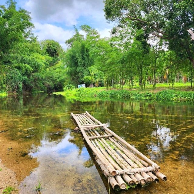 𝚃𝚑𝚊𝚖•𝚖𝚊•𝚌𝚑𝚊𝚛𝚝 𝙲𝚊𝚏𝚎' 🌿 คาเฟ่ใกล้ชิดธรรมชาติ🍃