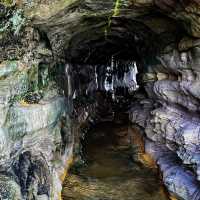 Hidden Gem in Manly 