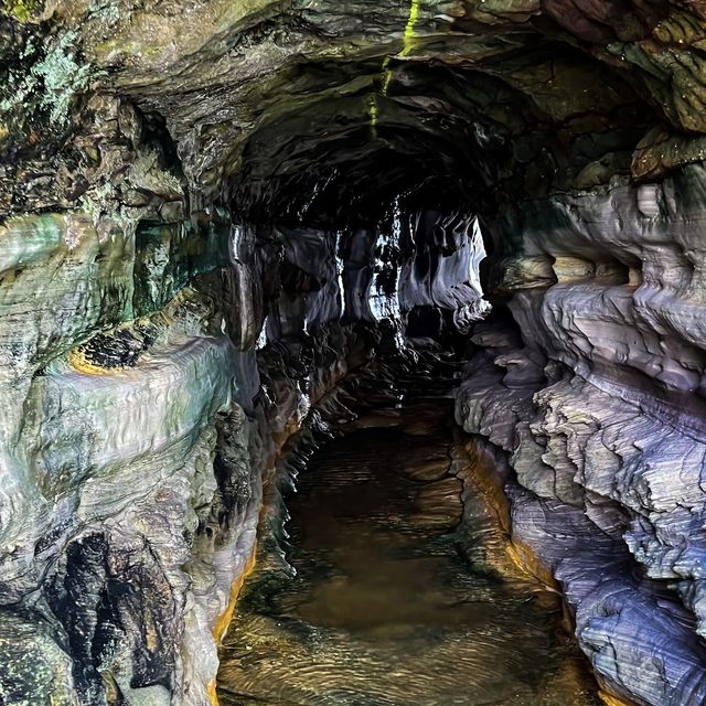 Hidden Gem in Manly 