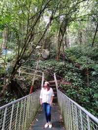 In the midst of rainforest of Mahua Waterfall