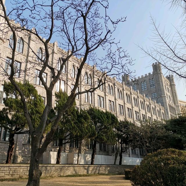 首爾最美、最好拍的大學