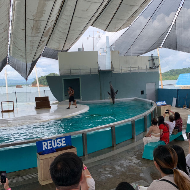 2大2小自駕蘇比克海洋公園