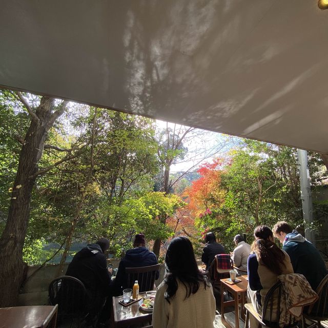 京都伏見稻荷必訪咖啡廳：Vermillion Cafe