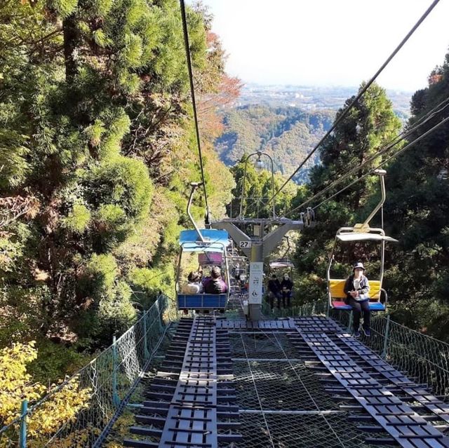 Mount Takao 🌳🗻⛰️