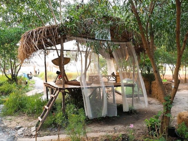 อิ๊กซ์อีสานคาเฟ่ คาเฟ่ทุ่งนาบรรยากาศดีต่อใจ