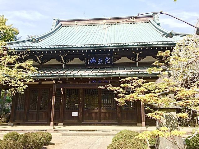【東京都/豪徳寺】大小さまざまな招き猫がいる寺院