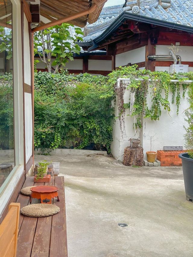 전주 애견동반 카페 추천, 너의 고요☕️🤎