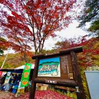 Autumn foliage in Fukushima 