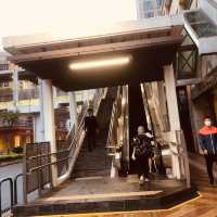 TAIPA PEDESTRIAN OVERPASS BRIDGE