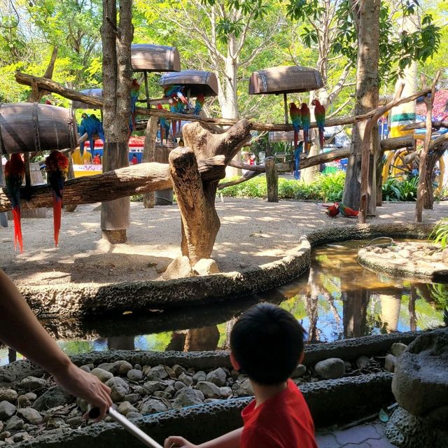 曼谷Safari World 