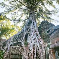 Angkor wat 