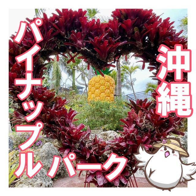 【沖縄】大人も子どもも楽しめる!ナゴパイナップルパーク 【沖縄】大人も子どもも楽しめる!ナゴパイナップルパーク