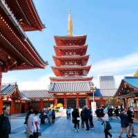 Experience Traditional Culture in Tokyo