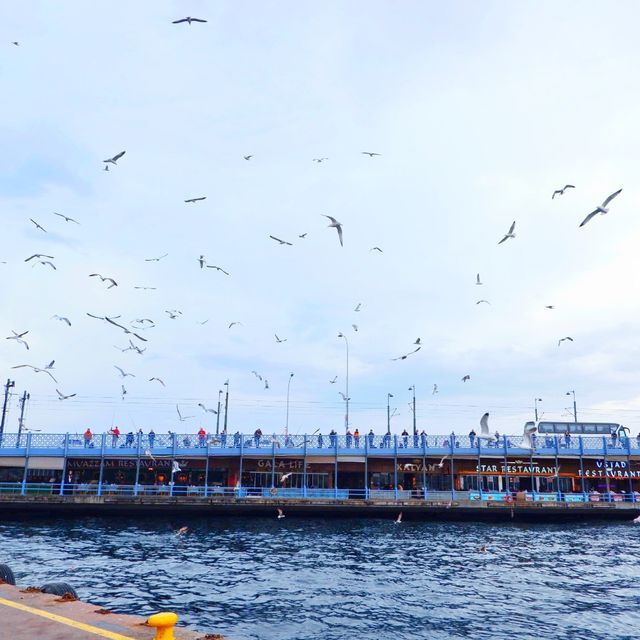 ⛴🕊 ล่องเรือชมช่องแคบบอสฟอรัส⚓️