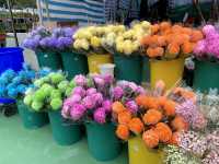 The Biggest Chinese New Year Flower Market In Hong Kong