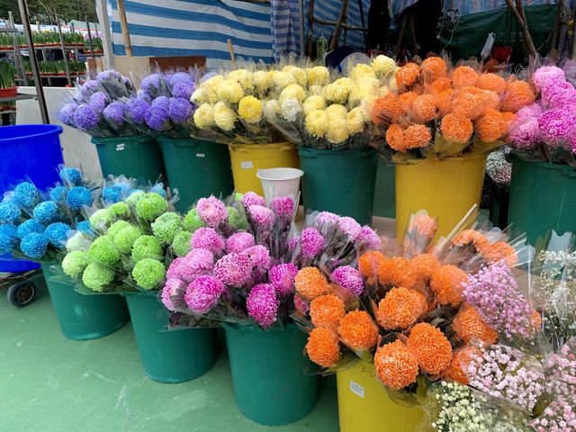 The Biggest Chinese New Year Flower Market In Hong Kong